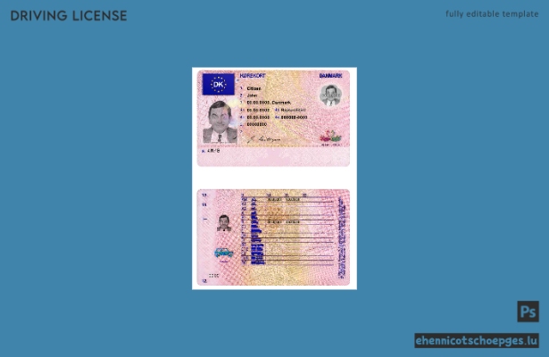 Dänemark DL Beispielvorschau